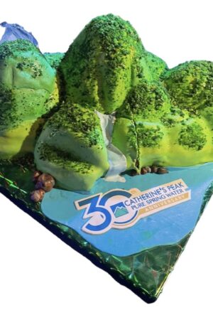 Blue Mountain Peak Theme Cake